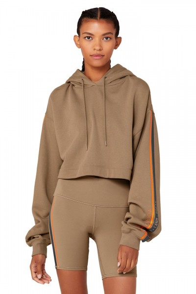 Graphic Bae Hoodie - Gravel/Anthracite/Bright Tangerine