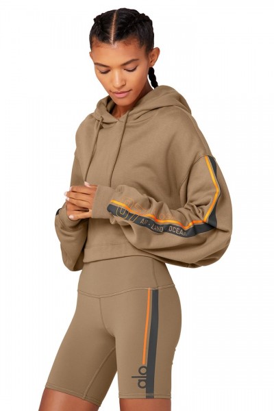 Graphic Bae Hoodie - Gravel/Anthracite/Bright Tangerine